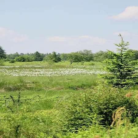 Lovely House With Much Luxury And Comfort * Waimes