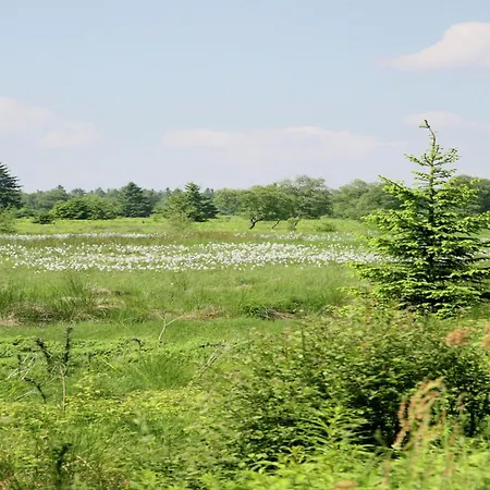 Lovely House With Much Luxury And Comfort Вэм