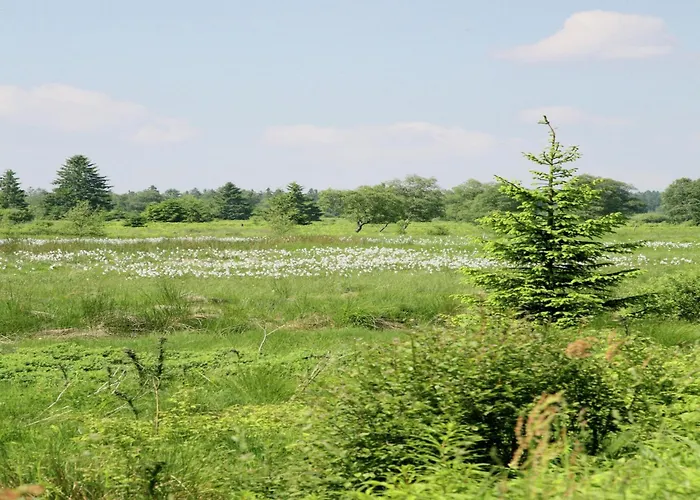 Lovely House With Much Luxury And Comfort * Waimes